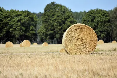 三一SY205-维修日志